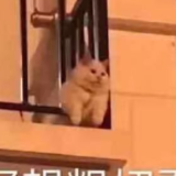 云游我大中国！“种草”清单有那那那那那那……么长