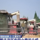 【在希望的田野上·三夏时节】高科技助力“三夏” 全力保障夏粮丰产丰收