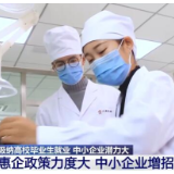 关注高校毕业生就业 | 各地加大政策扶持力度 支持中小企业吸纳更多毕业生