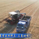 【在希望的田野上·三夏时节】我国夏粮主产区麦收进度过九成