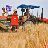 【大国“粮”策】国家发改委:300多万吨储备化肥已开始向市场投放