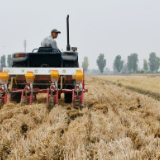 新华全媒+|我们的田野——我和我的“伙计”