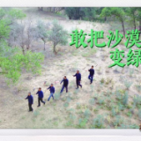 我与总书记“同框”｜敢把沙漠变绿洲