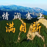 情润塞上满目新——沿着总书记的足迹之宁夏篇