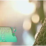 [最忆是端午]国乐演奏《上下求索》