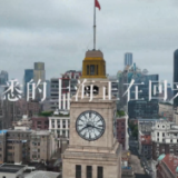 6月初的街头，熟悉的上海回来了