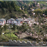 红土地上的新崛起——沿着总书记的足迹之江西篇