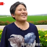 时政现场说丨端牢中国饭碗 稻花香里话振兴