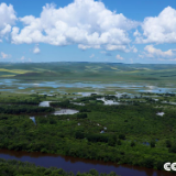 【美丽中国·网络媒体生态行】额尔古纳的绿色“生命线”