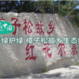 【美丽中国·网络媒体生态行】植绿育绿护绿 樟子松故乡生态绿意浓