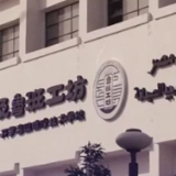 全球连线｜鲁班工坊分享中国职教经验