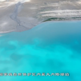 全球连线|西藏持续推进保护区建设 守护“地球第三极”生态