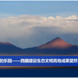 野生动物的乐园——西藏建设生态文明高地成果斐然