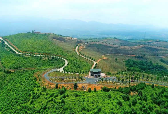 “绿水青山”就是“金山银山”：2021湖南林业产业总产值达5405亿元