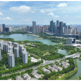 【大时代】合肥：“科里科气”产业创新聚珠成链 “城湖共生”国宝珍禽还巢翩跹