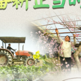 人勤春来早 备耕正当时——各地各部门抓早抓实谋划粮食生产综述