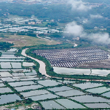 【央视快评】奋力谱写中国式现代化广西篇章