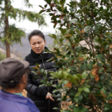 十年两会·温暖记忆｜“讲不完的油茶树故事，道不尽的鱼水情深”