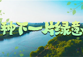 微视频｜种下一片绿意