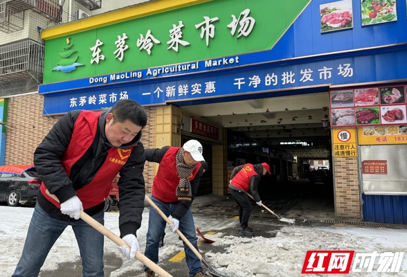 以动制“冻” 民建岳阳楼区支部守护民生温度