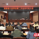 湖南省小说学会第二次会员代表大会召开 阎真当选新一届会长
