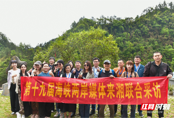 海峡两岸媒体走进保靖 共探“绿叶”变“金叶”