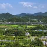 “技防”+“人防”：湘潭市七星村探索森林防灭火新模式