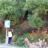 武陵源区公路建设养护中心稳步推进自然灾害综合风险公路承灾体普查工作