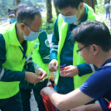 张家界“旅游医生”巡线景区 助力当地旅游复苏