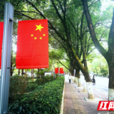 守护绿色家园的共产党员|路遇护林员