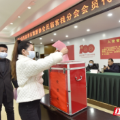 第七届张家界市旅游协会民宿客栈分会召开会员代表大会暨换届选举会议