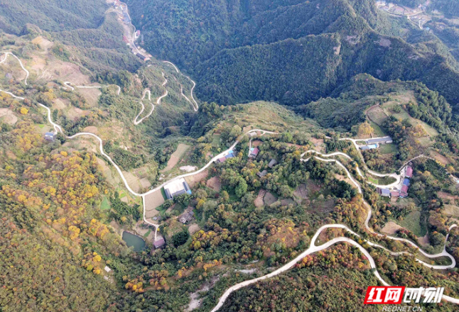 湖南慈利：“网红公路”让山货远走高飞