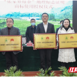 张家界“两茶”地标授权 27家企业获国家级“通行证”