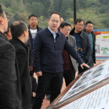 张龚带队调研中湖乡违法建设集中整治及“洞庭清波”专项整治工作