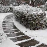 永定区：以雪为令 不让流浪乞讨人员受冻挨饿