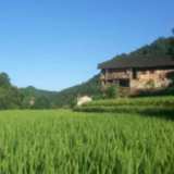 筑牢师德底线 守住从教初心——桑植县官地坪中学开德师风专项整治活动