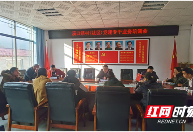 慈利县溪口镇举办党建专干业务培训班
