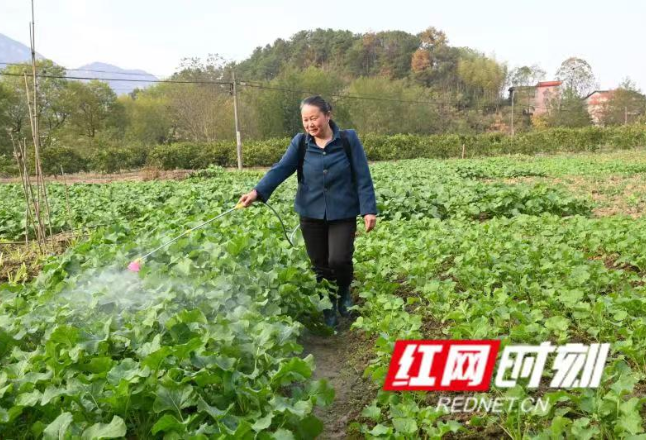 慈利：真督实导 让实事办到群众心坎上