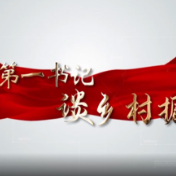 桑植：驻村第一书记谈乡村振兴｜走进小埠头村专访陈卓