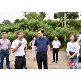 郭天保深入三家馆乡垕王村走访调研 助力乡村振兴
