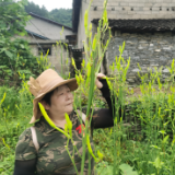 “两优一先”好榜样｜李凤英：不忘初心 情系党务