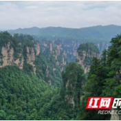 张家界国家森林公园黄石寨：暑期旅游“热”起来（组图）