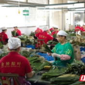 桑植县：税企连心“粽”是情