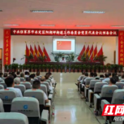 永定区阳湖坪：阳湖坪街道党员代表会议顺利召开