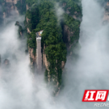 飞阅峰林之美 “航拍武陵源”已为旅游宣传新名片