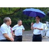张龚调研景区无障碍通道建设