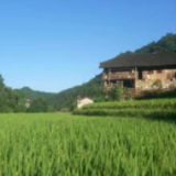 慈利县赵家岗土家族乡长安村:村干部抗疫的一天