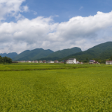 张家界的秋天 种在希望的田野上