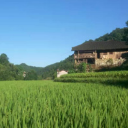 “严”字当头，纪委护航人大换届清风气正
