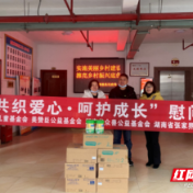 桑植县：捐赠爱心奶粉 情暖困境儿童